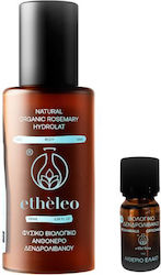 Etheleo Essential Oil Rosemary 10ml