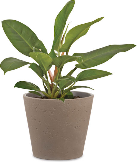 Scheurich Umbria Plant Pot Ceramic Multicolour Scheurich Umbria Plant Pot Ceramic Multicolour
