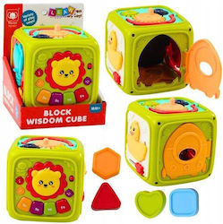 Lean Toys Interactive Educational