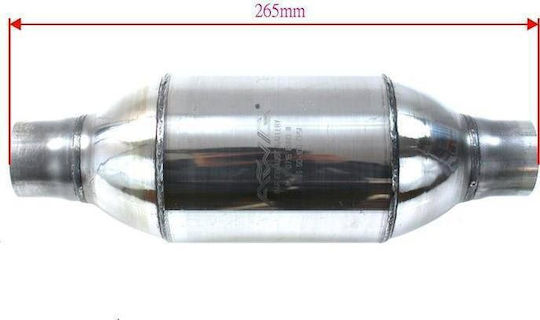 AWG_C Sport Katalysator Fi 55 3-5l Euro 2