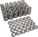 Brian Crower Set of Valve Tension Ring Beehive Toyota Supra 2jzge/2jzgte 3.0l 24v Dohc 24pcs