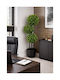 Arbore Artificial de Exterior Green 22cm ForAll