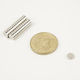 Neodymium Disc Magnet Φ6x2mm Traction Force 700gr