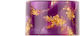 Reewape Drip Tip Tfv16 Resin As269 1 Τμχ Purple