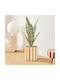 Artificial Plant Pot Φ11.5x38 A-s Cheri 210126 Yellow Ceramic
