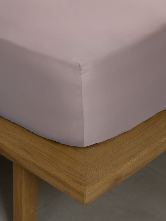 Sunshine Sheet King Size with Elastic 180x200+4...