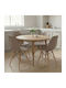 Nova Dining Room Polypropylene Chair Cappuccino 46x51x80cm