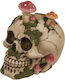 Sparbüchse Totenkopf Pilze