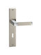 Viometale Lever Middle Door with Plate 06.643 Pair (Center Distance 75mm) Nickel Matt - Chrome