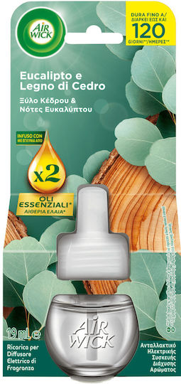 Airwick Nachfüllpack für Steckdosen-Geräte mit Duft Eukalyptus 19ml