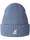 Beanie Unisex Beanie with Rib Knit in Blue color