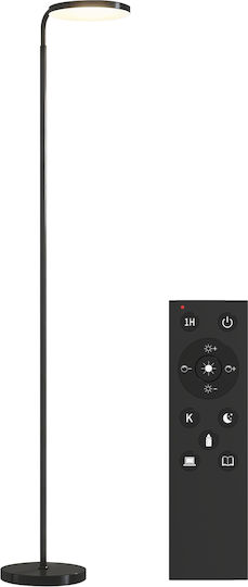 Lampa de podea Negru