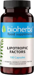 Bioherba Липотропни Фактори 350мг 100 Капсули Bioherba Липотропни Фактори 350мг 100 Капсули