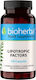 Bioherba Lipotropic Factors 350мг 100 капси