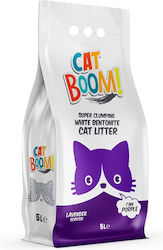 Cat Boom Streu mit Duft Lavendel 5Es