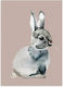 Nuukk Card De Salutare "Bunny-Rabbit"