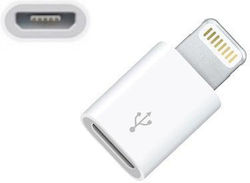 Adapter Royal 21009779 From Lightning Male To Usb Micro Female White