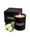Benevolence LA Lumânare Aromatică Din Soia Cu Miros De Jasmine 230gr