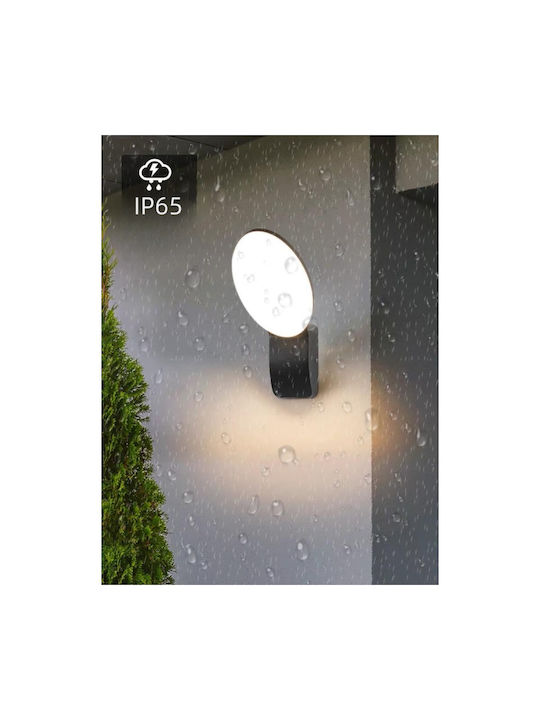 Lightplanet Modern Lumină de Perete cu LED Integrat și Lumină Alb Cald Negru
