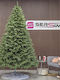 Christmas Tree Laponia Select 250cm with 1346 Branches