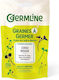 Red Cabbage Seeds Sprouting Eco 100g Germline