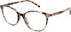 Σκελετος Ορασεως Dolce & Gabbana 3425 3438 5418