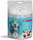 Celebrate Freshness Dog Treat with Duck, Olive Oil and Beef 100gr