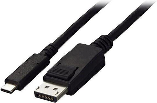 Eizo USB 2.0 Video Cable USB-C male - DisplayPort Μαύρο 2m CP200-BK