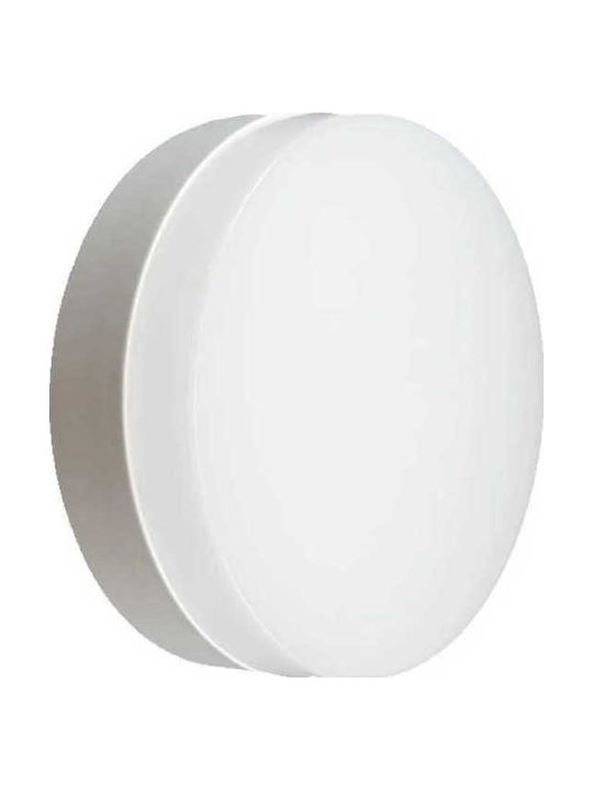 Lightplanet Rotund Panou LED Putere 24W cu Alb Rece Lumini