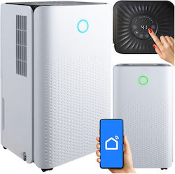 ZY12643QWS97 cu Wi-Fi 12lt/zi ZY12643QWS97 cu Wi-Fi 12lt/zi