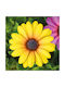 Garten Dekorative Künstliche Blumen 7,5 Cm 4 Stück Pack