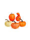 Autumn Decoration – Decorative Pumpkins – 6 Designs – Plastic
