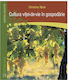 Cultura Vitei-de-vie In Gospodarie - Christina Nack
