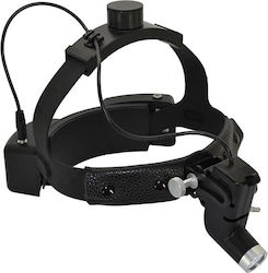 Minston Diagnostic Torch