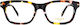 Polar Gold58 429