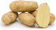 AgriMore Saatgut Kohl 25kg