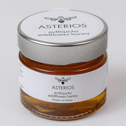 Asterios Μέλι Ανθέων 100gr