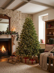 Christmas Tree 210cm Christmas Tree 210cm
