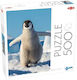 Puzzle 2D 500buc