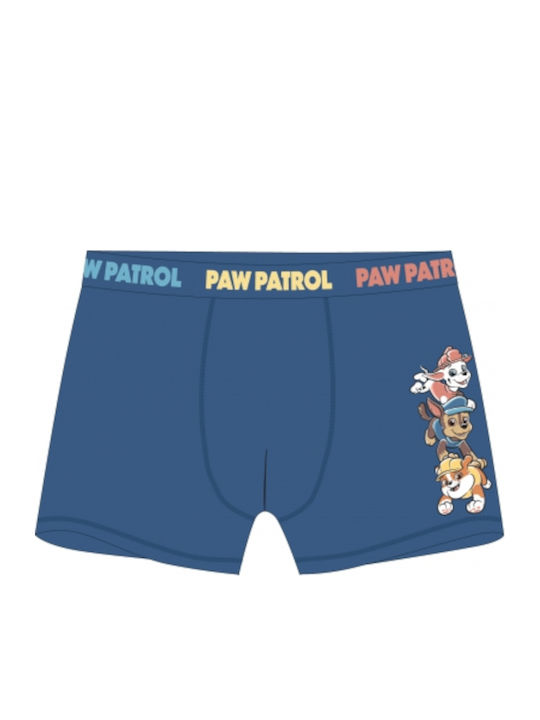 Paw Patrol Blue