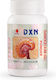 DXN Ganocelium GL 30gr