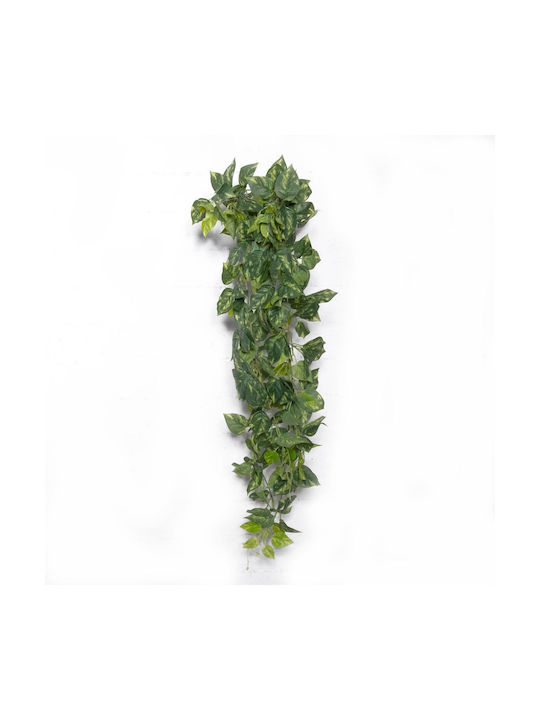 Πόθος σε Γλάστρα Supergreens Πόθος σε Γλάστρα Supergreens