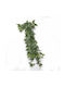 Supergreens Künstliche Hängende Fichtonia Albivenis Grüne 110 cm