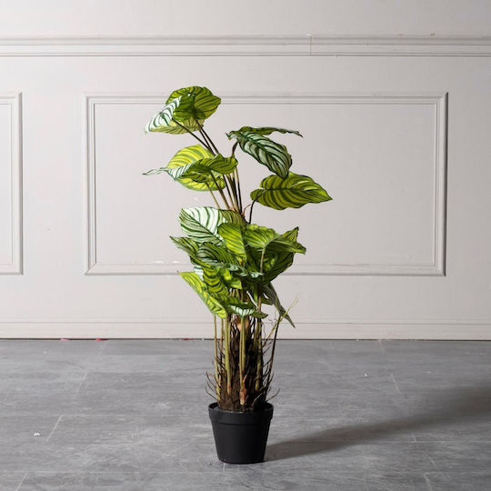 Καλαθέα σε Γλάστρα 90cm Supergreens