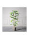 Supergreens UV Copac Artificial Bambus Lucky Verde 160 cm