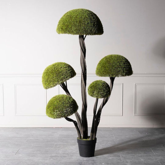 Supergreens UV Artificial Bonsai Tree Moss Mushroom Fivefold Green 180 cm