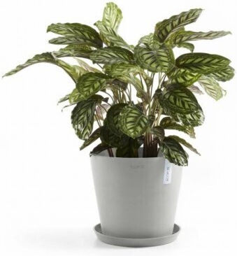 Ecopots Amsterdam Ghiveci Gri