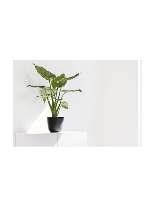 Ecopots Oslo Mini Γλάστρα Dark Grey