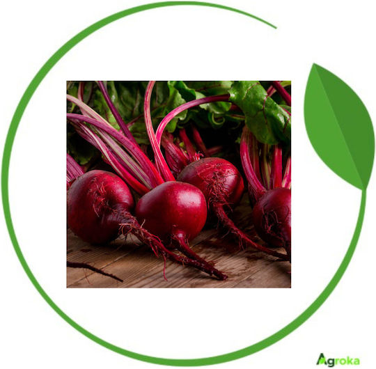 Geniki Fytotechniki Athinon Seeds Beetroot Red Bull 500gr