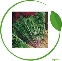 Geniki Fytotechniki Athinon Seeds Wild Red Stem...